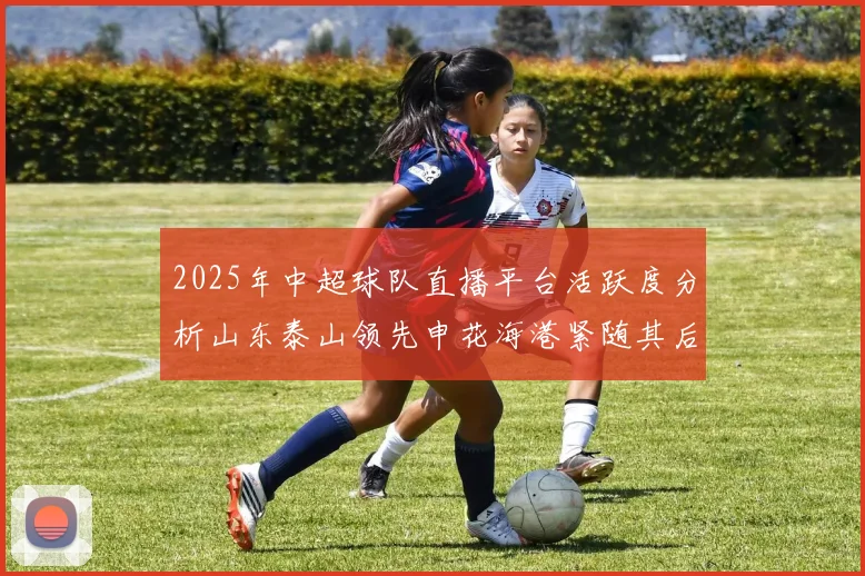 2025年中超球队直播平台活跃度分析山东泰山领先申花海港紧随其后