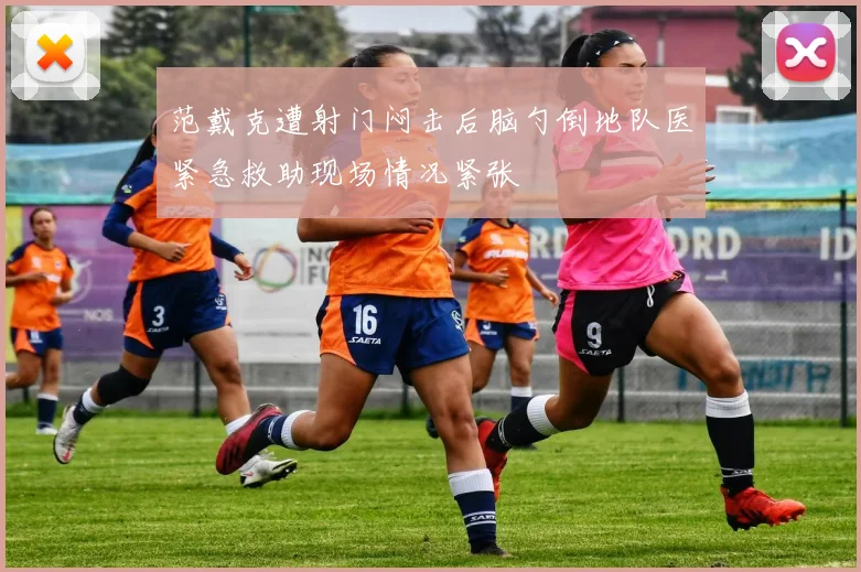 范戴克遭射门闷击后脑勺倒地队医紧急救助现场情况紧张